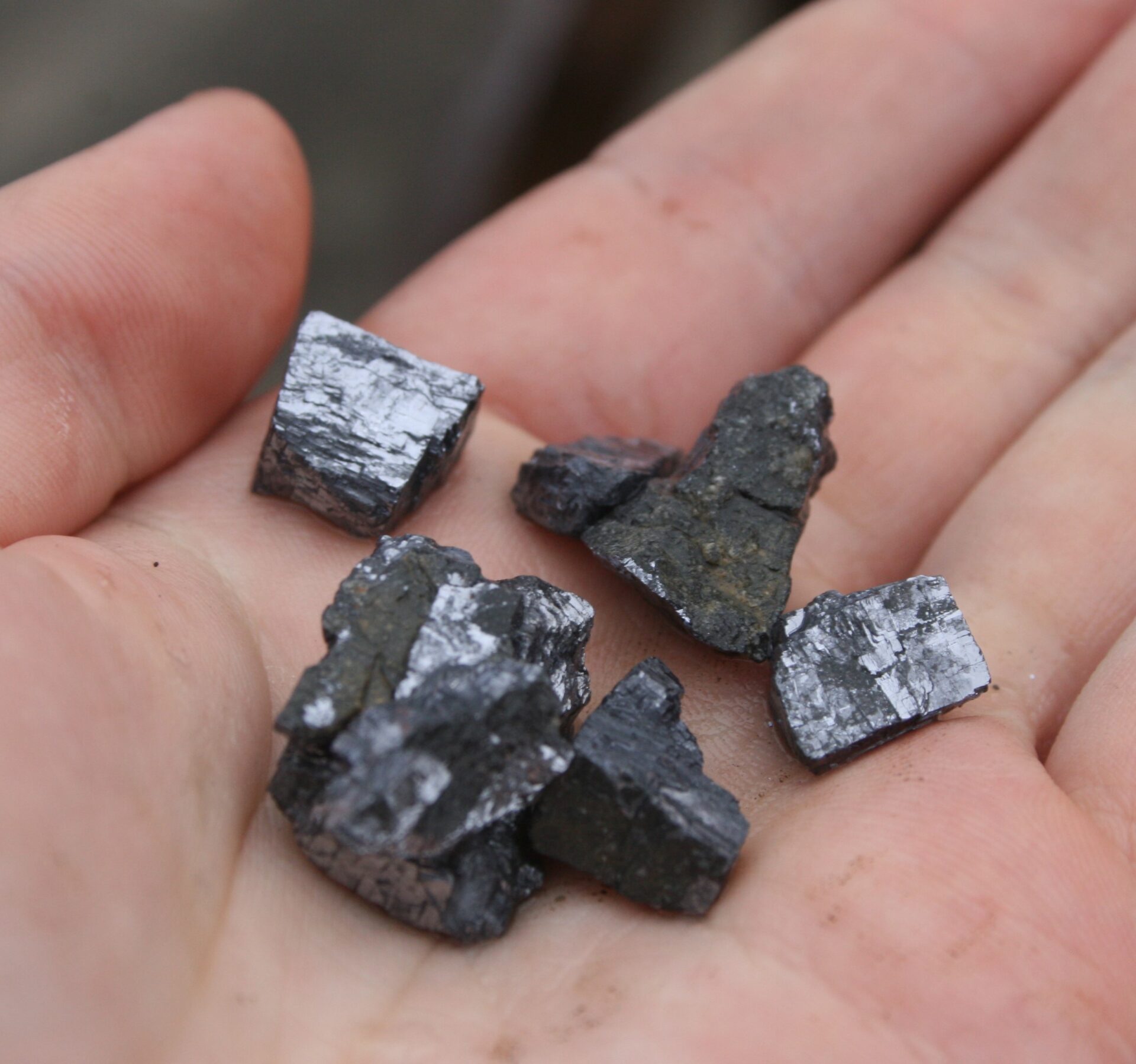 Small pieces of galena