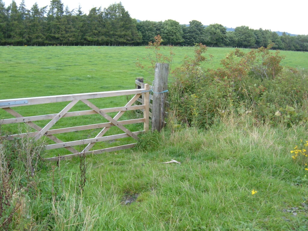 Planting and managing hedges for farming, wildlife and flood benefit image