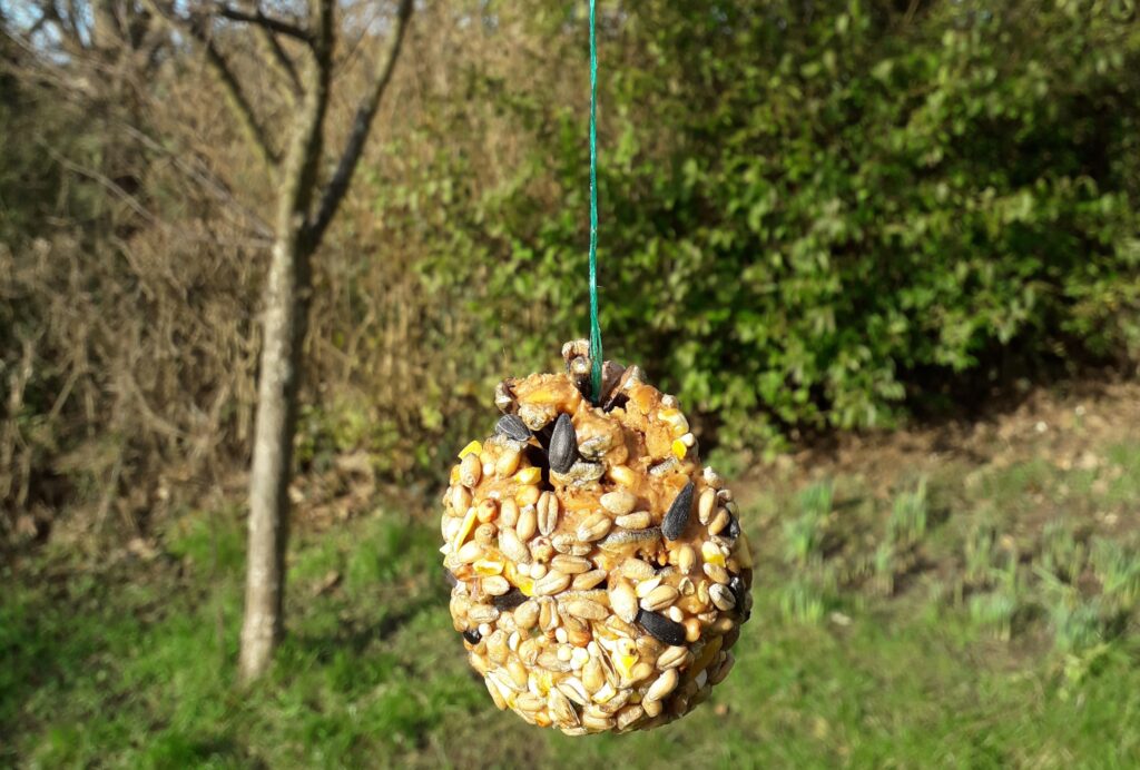 How to make a pine cone bird feeder image