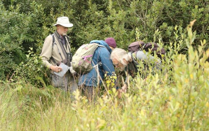 Photograph of people in field identifying plants