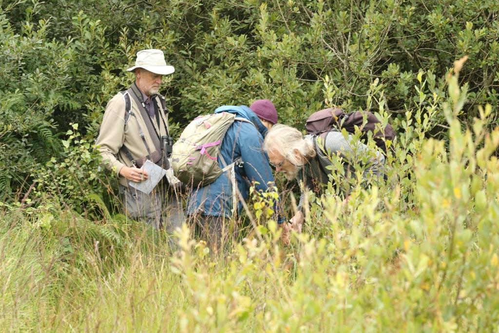 Photograph of people in field identifying plants